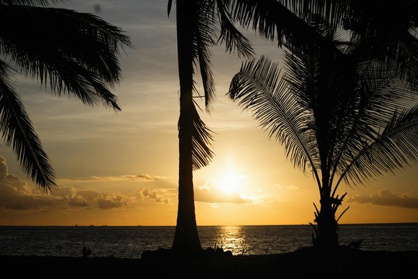 Awaken your adventurous spirit: the definitive guide to unforgettable camping experiences on britain's heritage railways